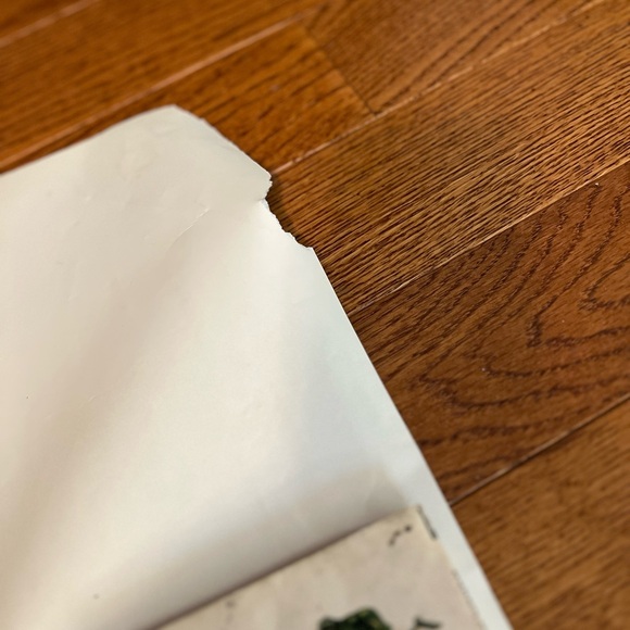 Sammy Hagar Promo Poster Standing Hampton Geffen Records Store 35"x23" Vintage - Picture 11 of 12